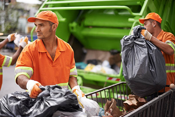 Yard Cleanup Services in Tellico Plains, TN